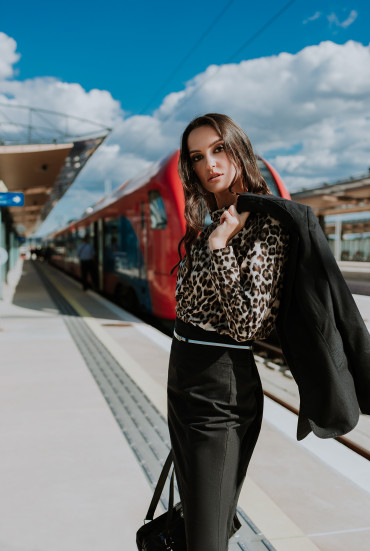Elipsa - modna kuca